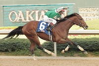 Afleet Alex