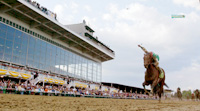 Afleet Alex