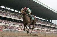 Afleet Alex