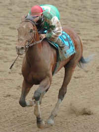 Afleet Alex