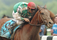 Afleet Alex