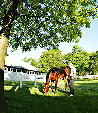 Afleet Alex