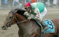 Afleet Alex
