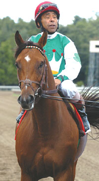 Afleet Alex