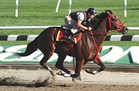 Afleet Alex