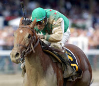 Afleet Alex