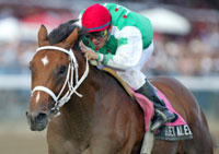Afleet Alex