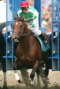 Afleet Alex