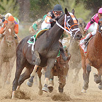 Afleet Alex