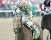 Afleet Alex