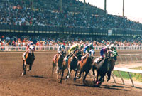 Alameda County Fair