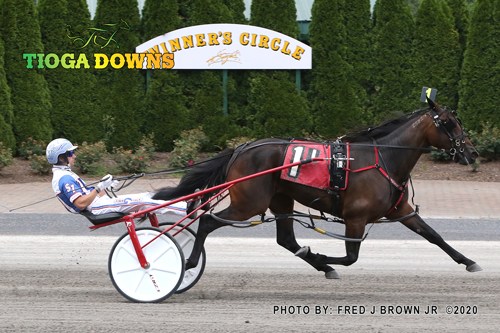 Albergita Hanover 7/19/20