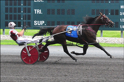 Albergo Hanover 8/12/18