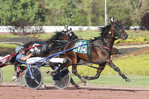 Allywag Hanover 8-20-22