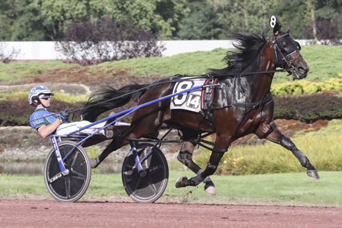 Allywag Hanover 8-21-21