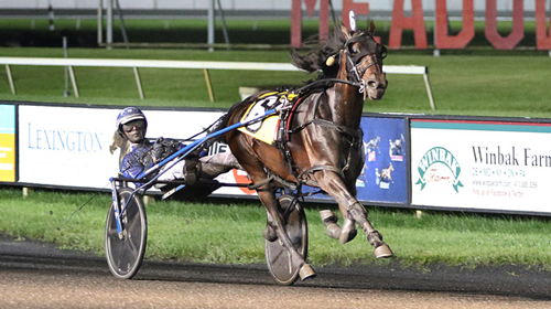 Allywag Hanover 7-17-21