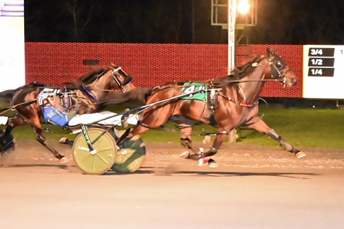Allywag Hanover 11-10-22
