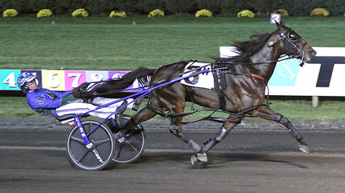 Allywag Hanover 11-20-21