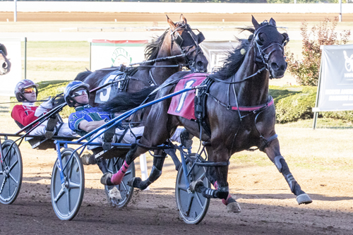 Allywag Hanover 10-9-22