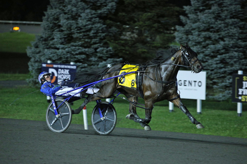 Allywag Hanover 9-18-21
