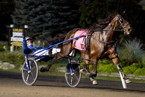 Allywag Hanover 9-4-21