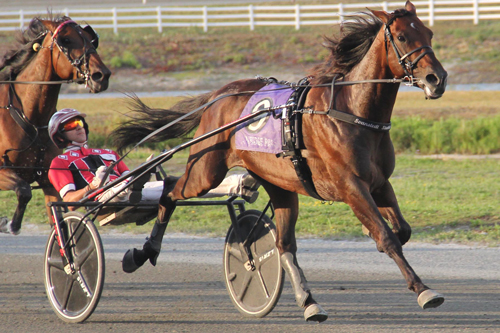 Alrajah One 7-25-22