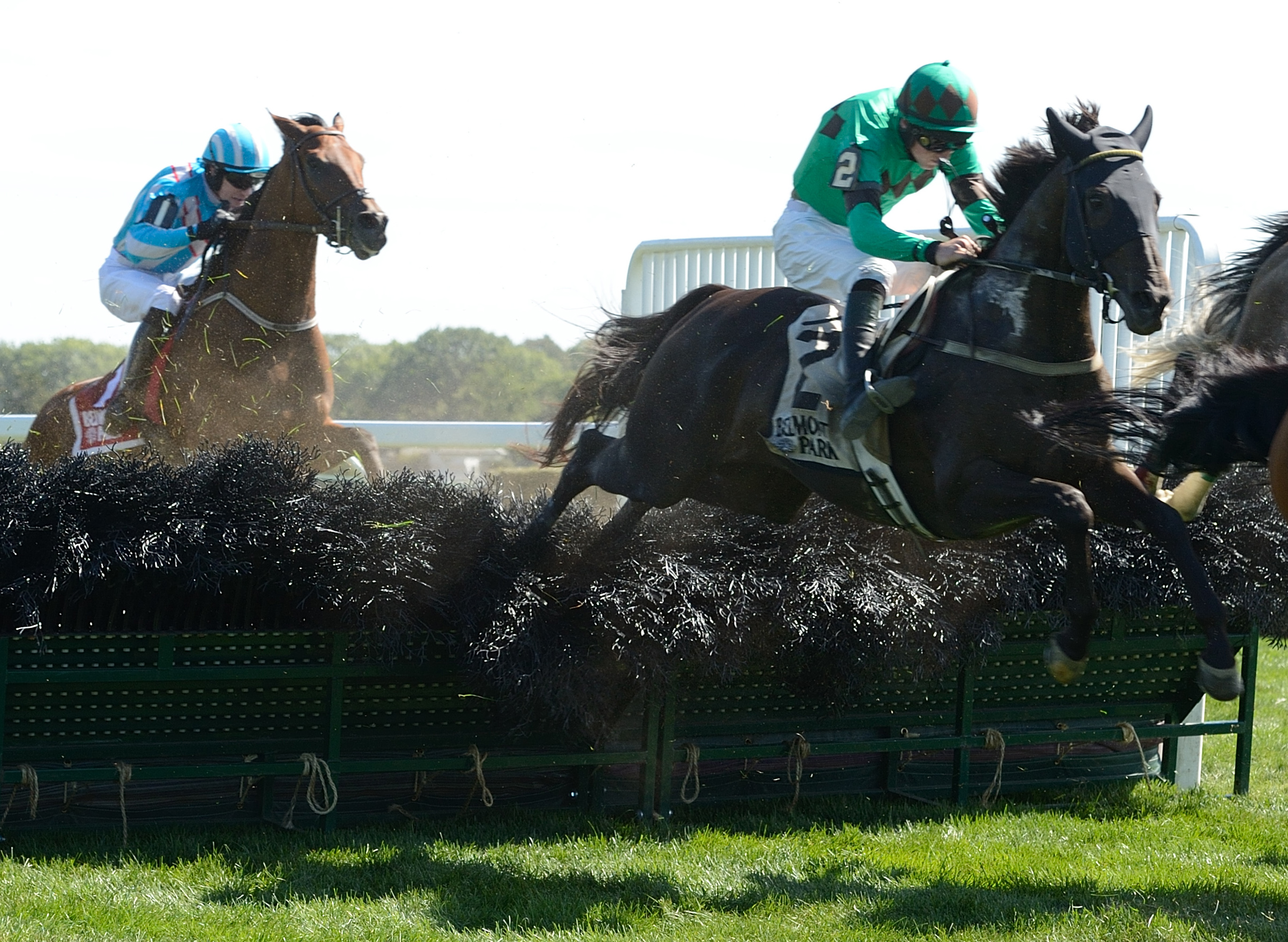 Bob Le Beau wins the Lonesome Glory Stakes