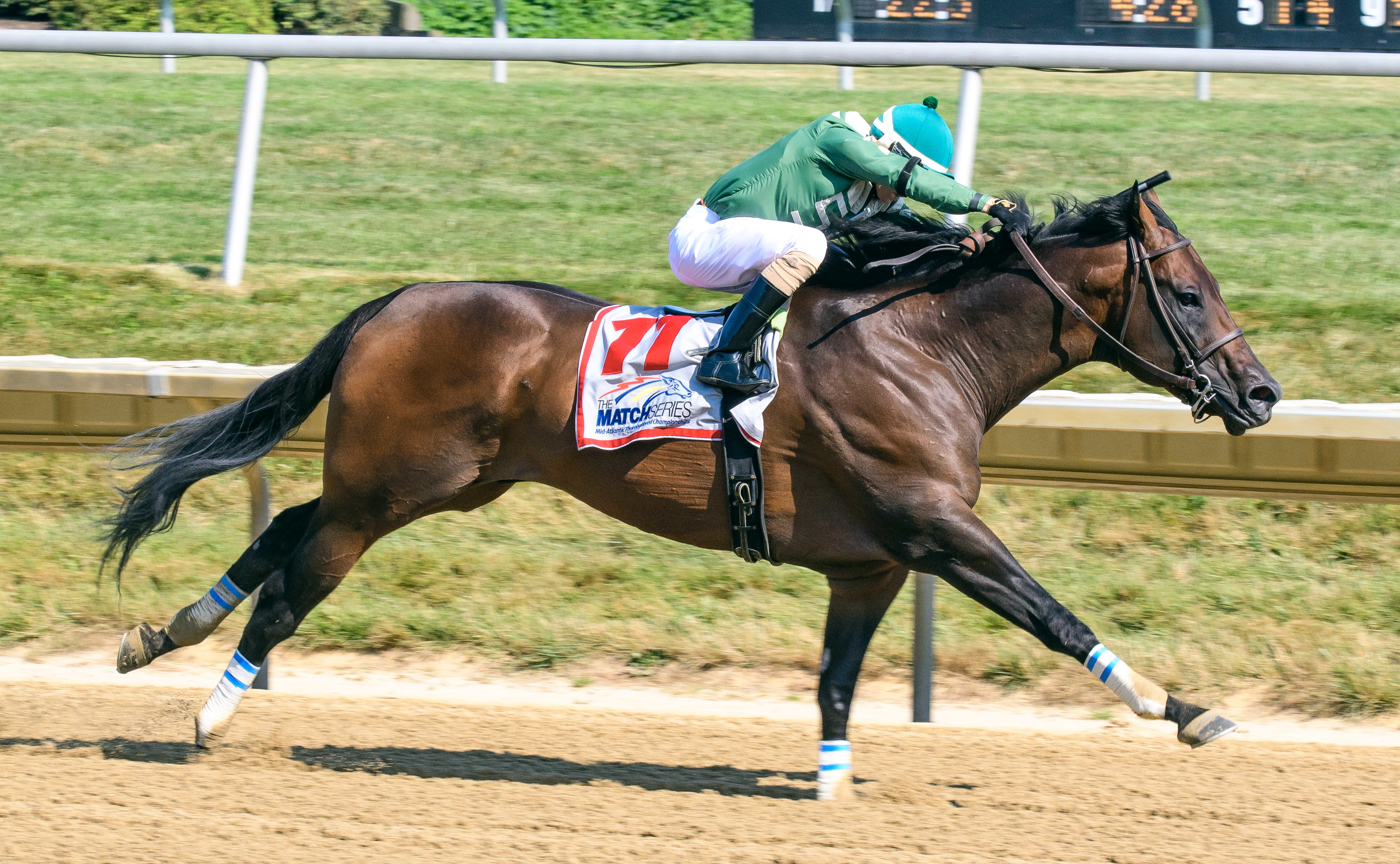 Always Sunshine wins 2018 Hockessin