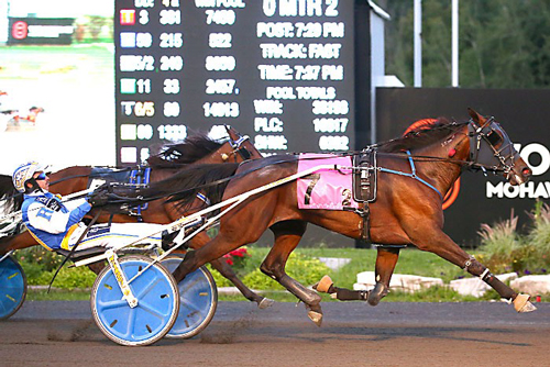 Amazone Du Haras 9-3-21