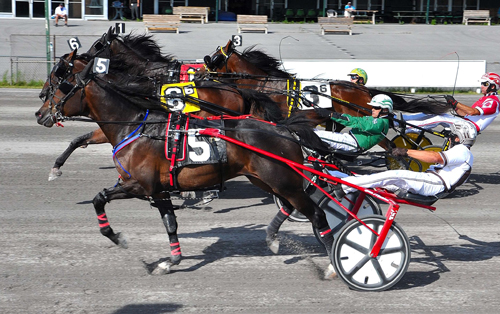 Ambassador Hanover 8/21/20
