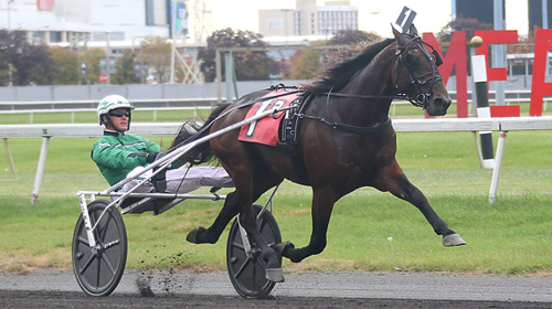 Ambassador Hanover 10-23-21