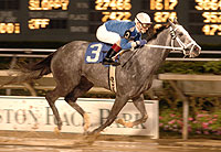 Ambition Unbridled
