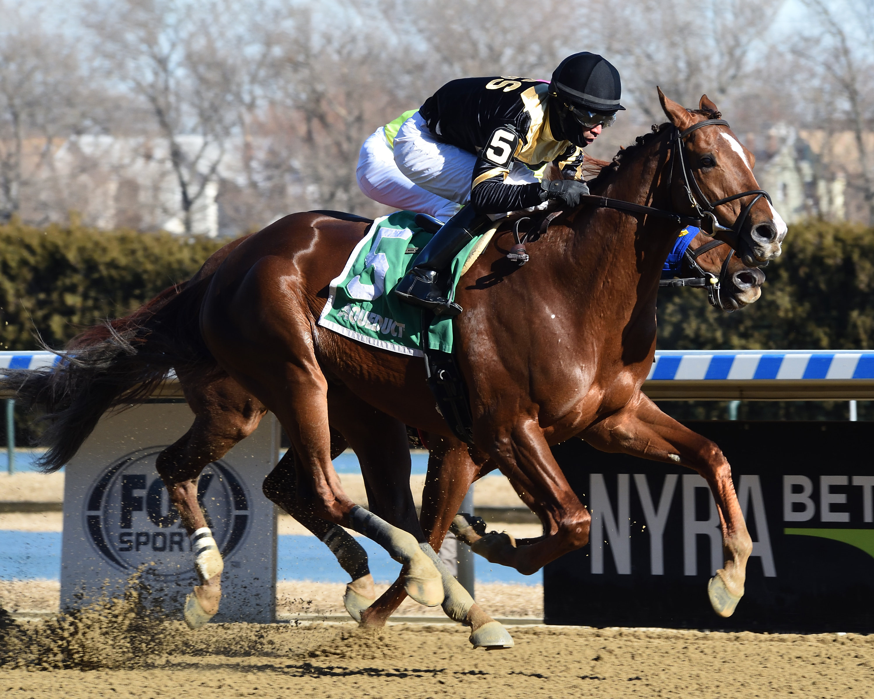 American Power wins Toboggan 1-30-2021