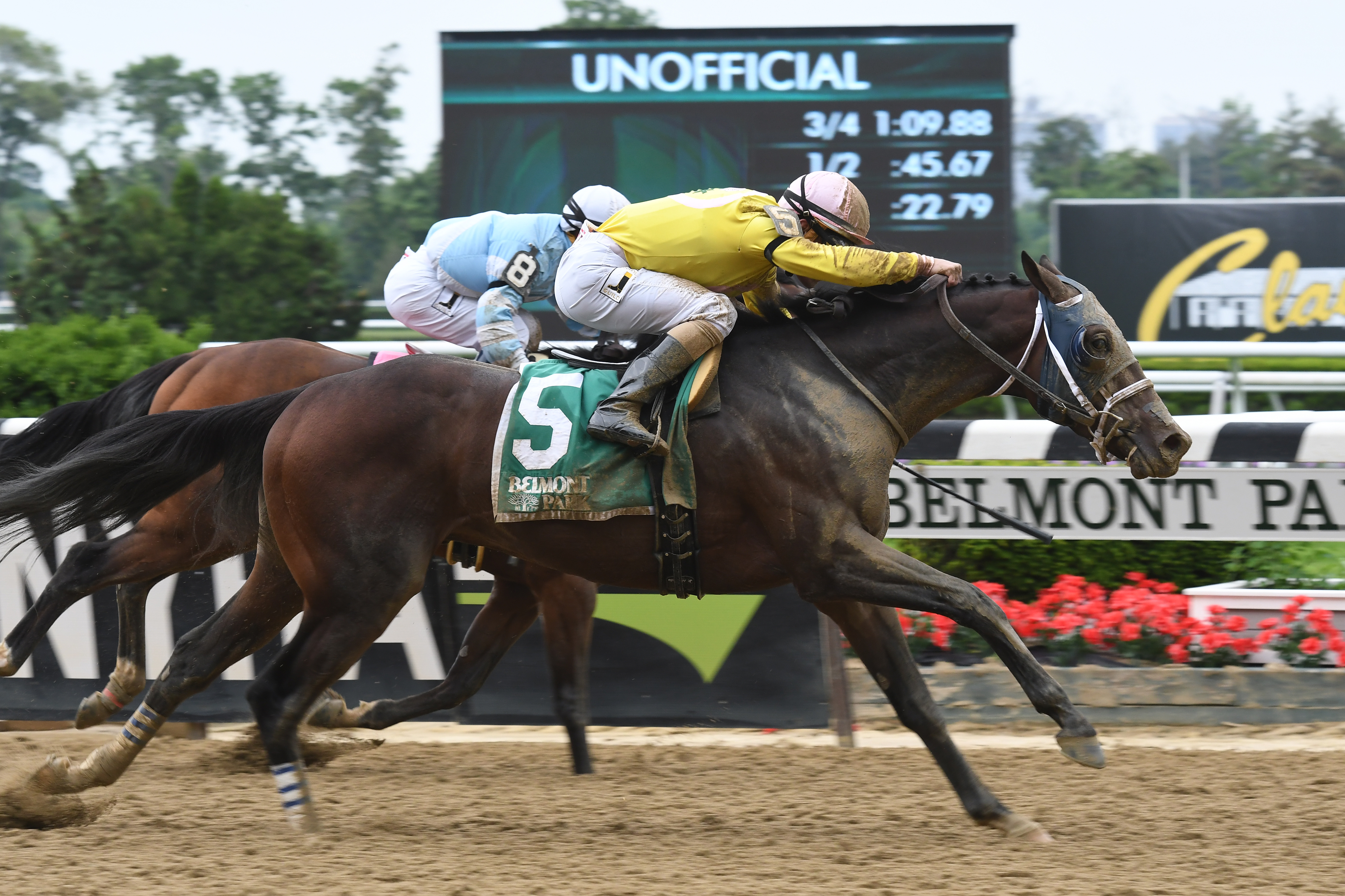 Analyze the Odds wins 2018 Mike Lee