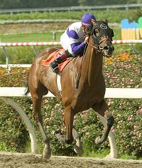Andujar
