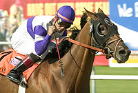 Andujar