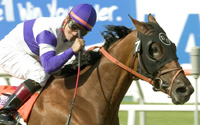 Andujar