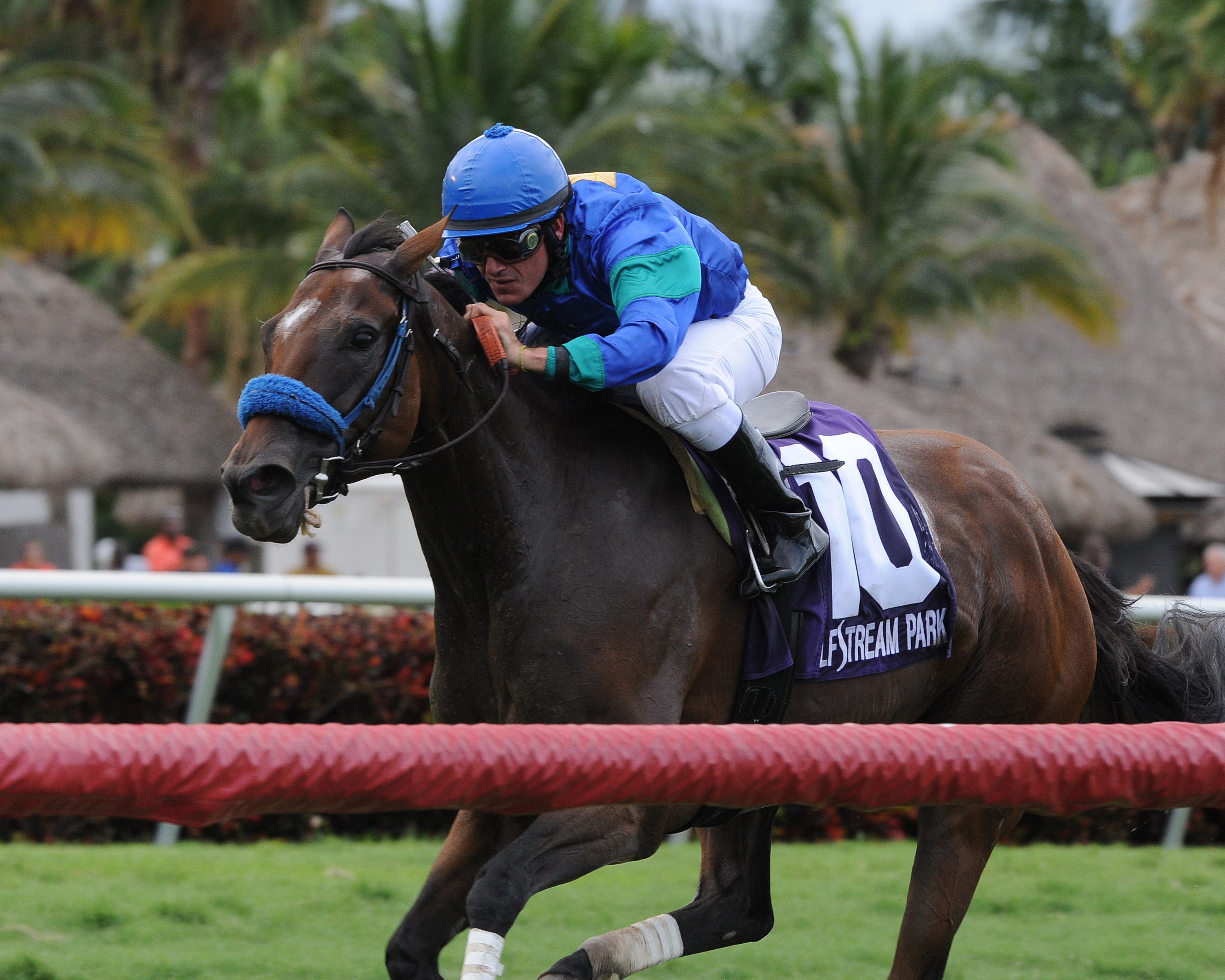 Angelica Zapata 8-2-2014