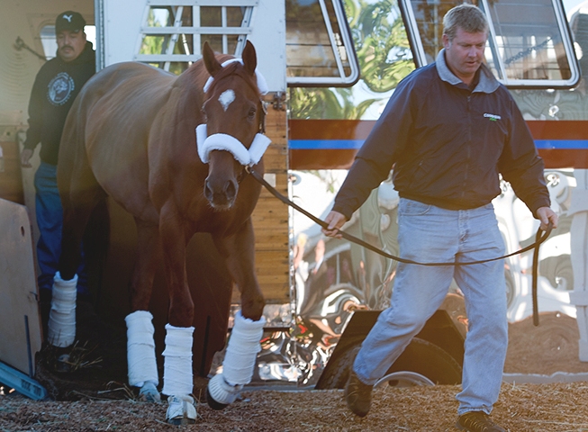 Preakness: Animal Kingdom arrives at Pimlico