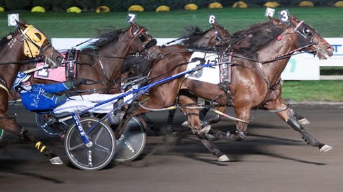 Annabelle Hanover 11-5-21