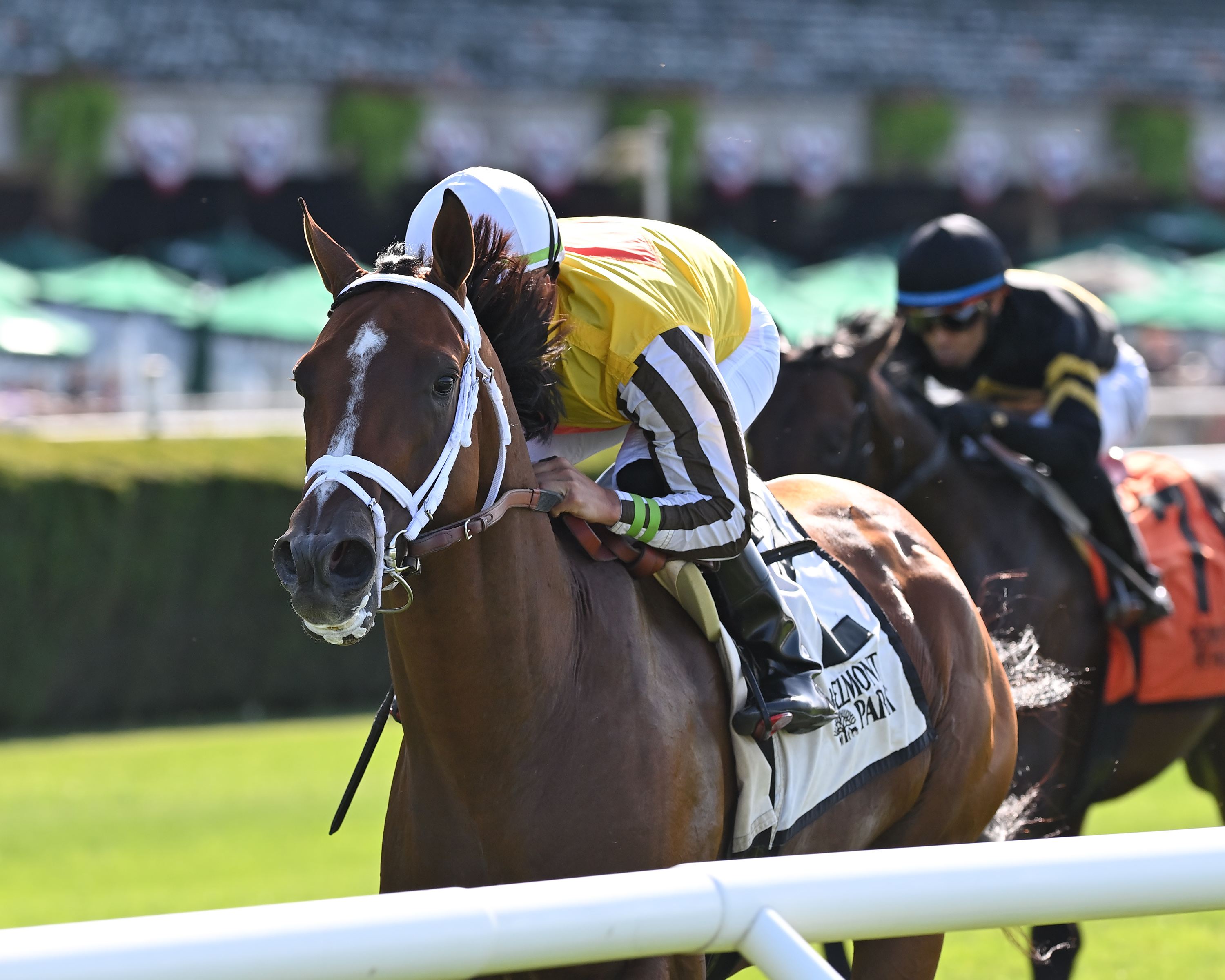 Annapolis, Manila Stakes