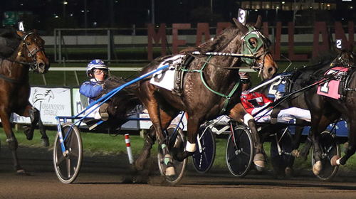 Anoka Hanover 11/7/20