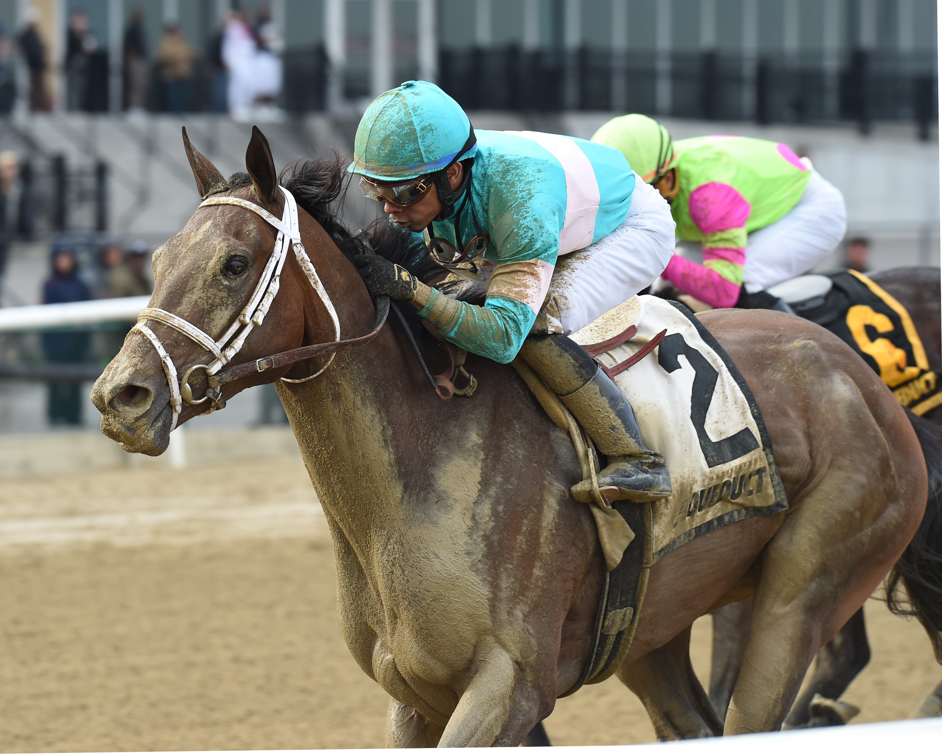 Another Broad wins the 2019 Top Flight Stakes