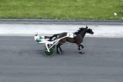 Anthonys All In 5-18-22