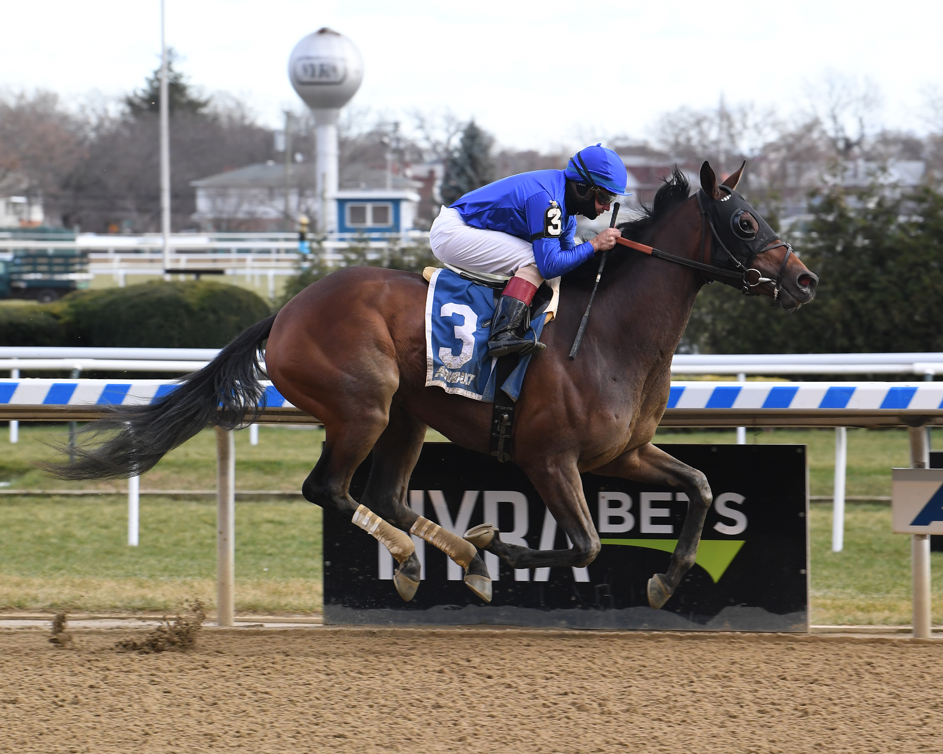 Antoinette wins the 2019 Tepin Stakes