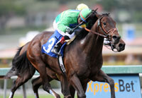 A.P. Warrior