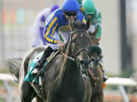 Arravale