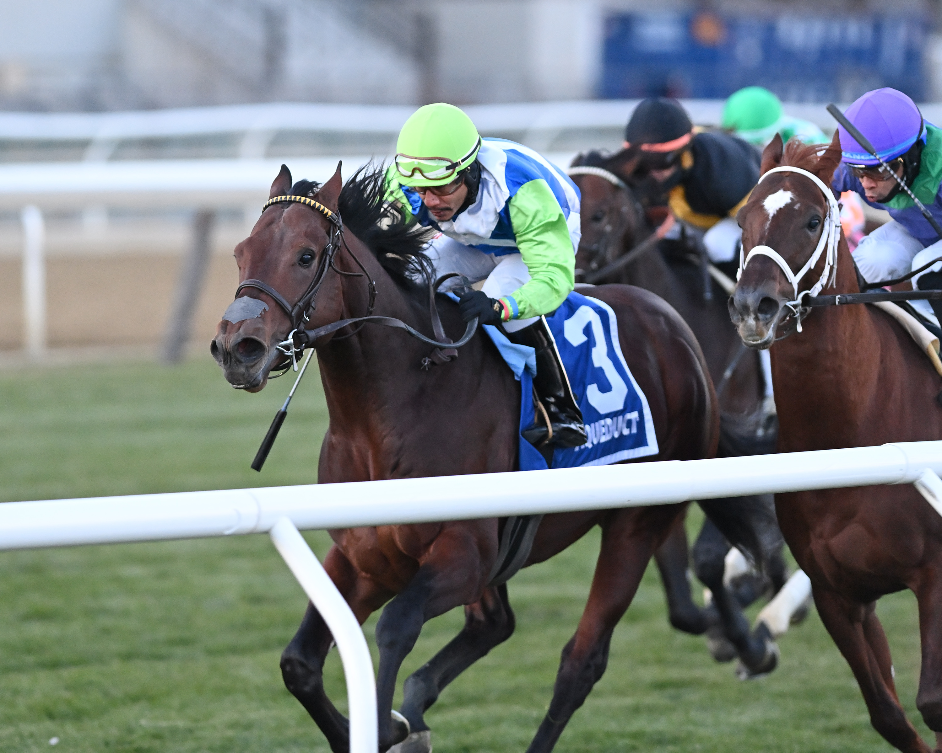 Arrest Me Red wins Aqueduct Turf Sprint 11-27-2021