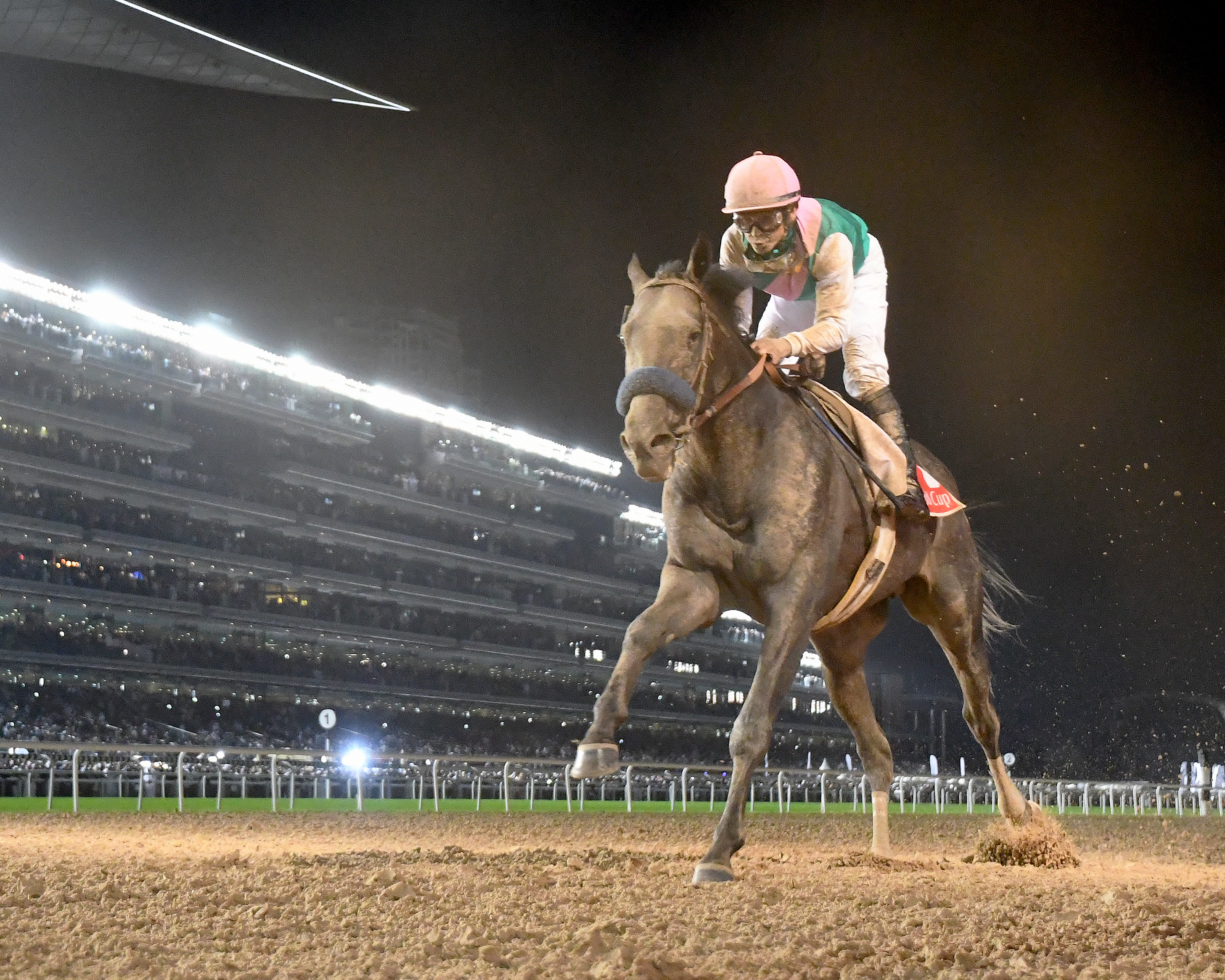 Arrogate 3-25-2017
