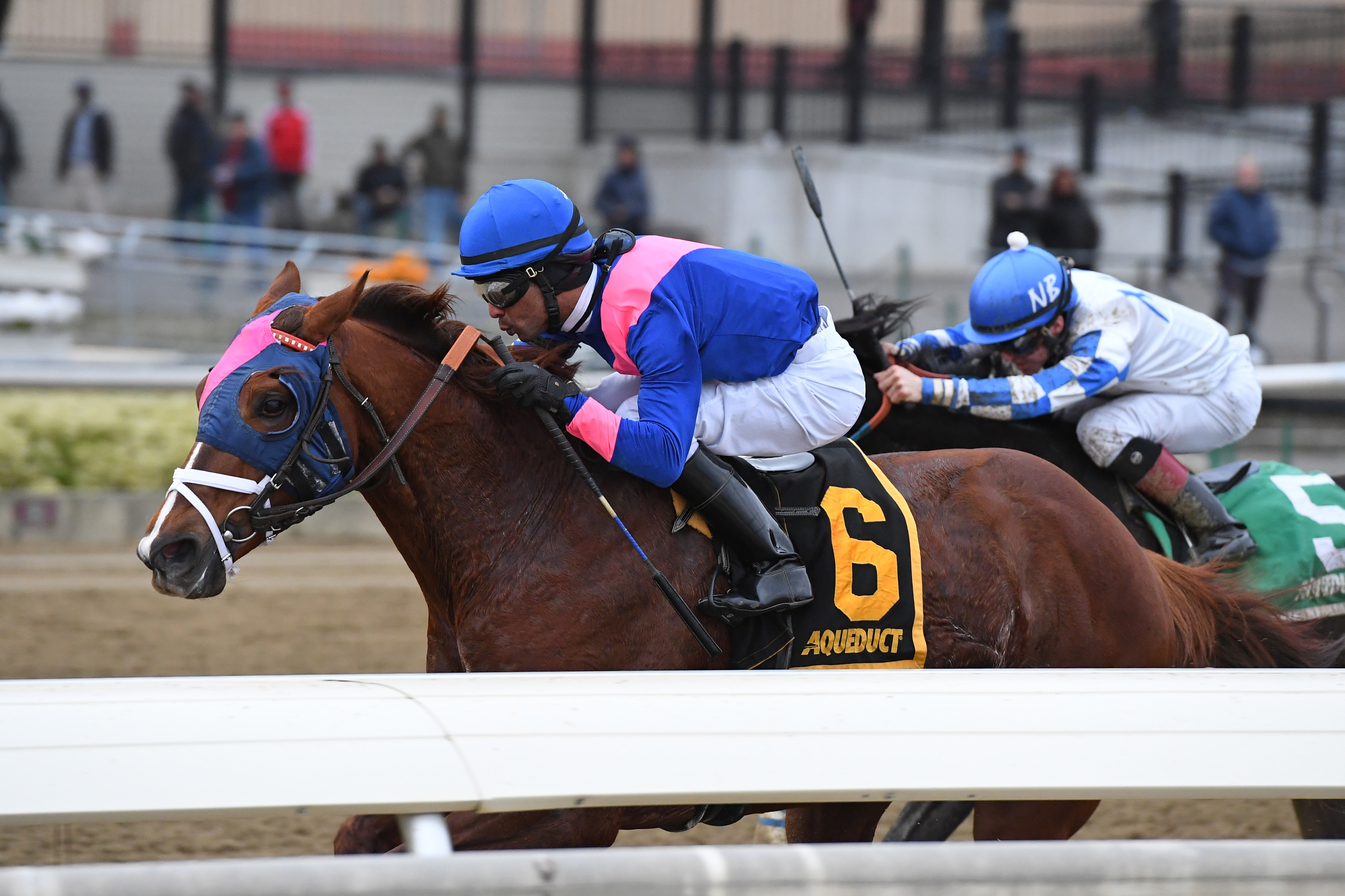 Arthur-s Hope wins the 2020 Say Florida Sandy